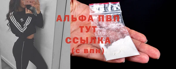 прущие крисы Аркадак