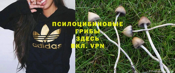 прущие крисы Аркадак