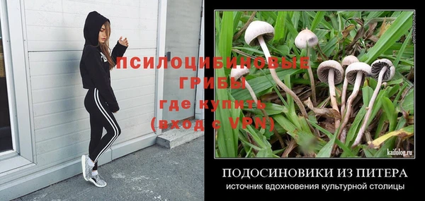 прущие крисы Аркадак
