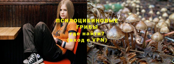 прущие крисы Аркадак