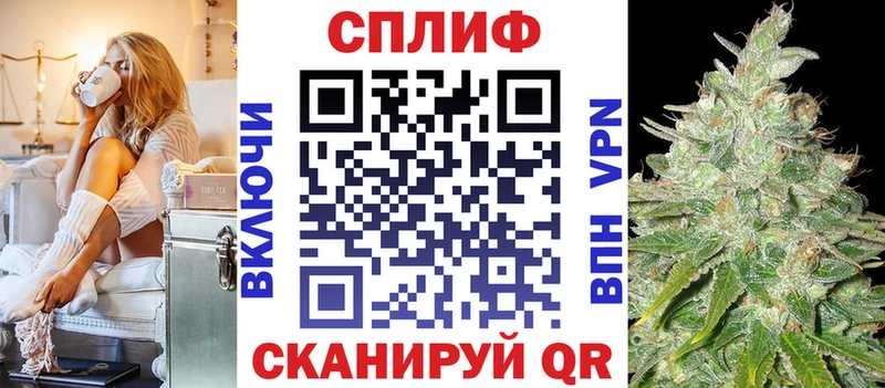 где найти наркотики  mega вход  Бошки марихуана White Widow  Чадан 